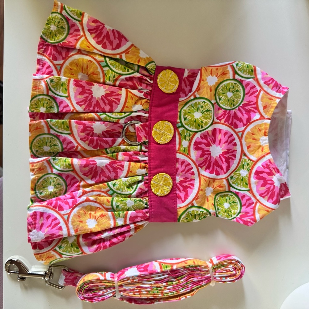 Vibrant Citrus Print Dog Harness Dress with Matching Leash